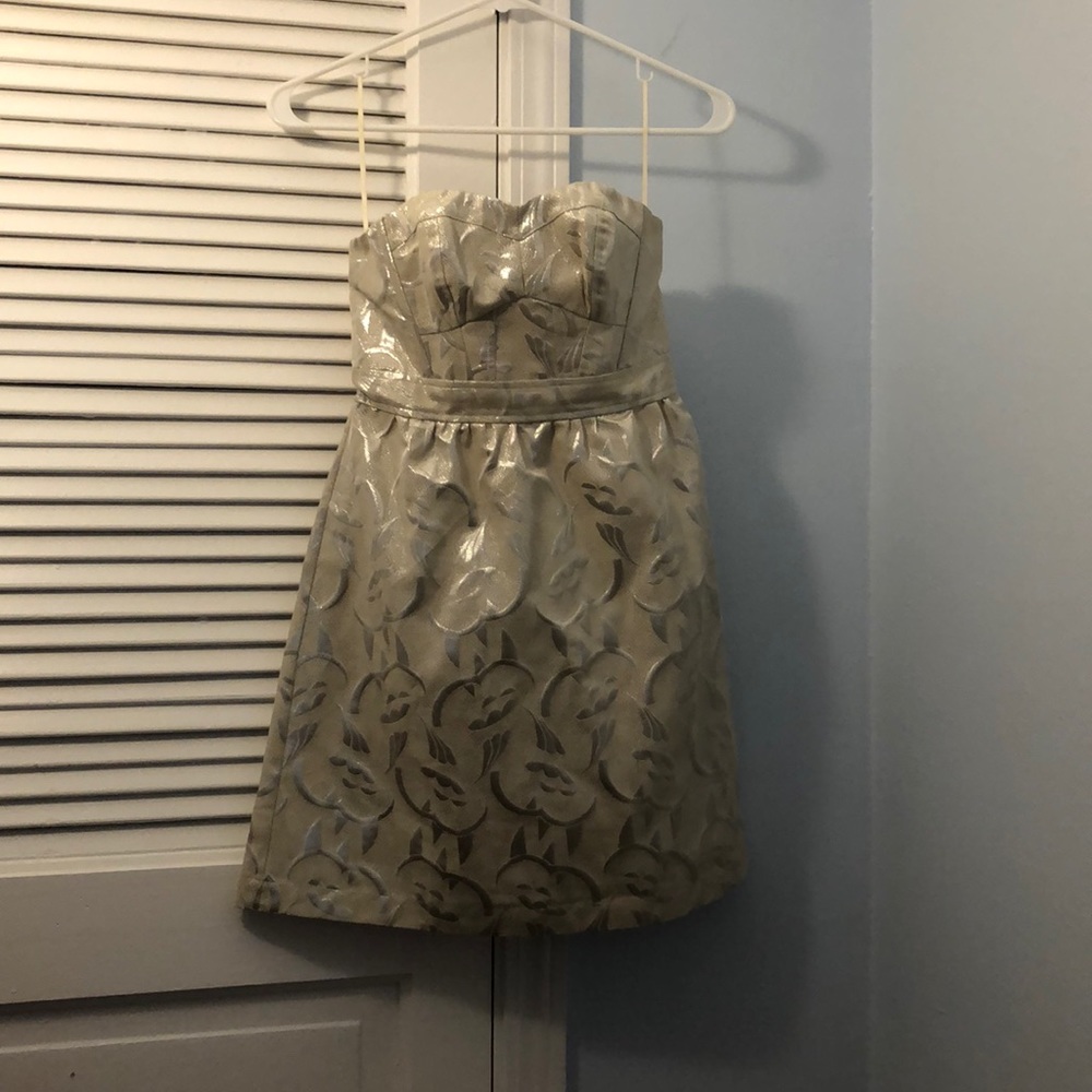 American Eagle Outfitters Dress